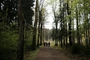 BE Ardennen 1 1