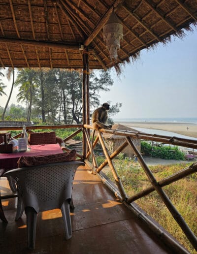 Accommodatie Accommodatie