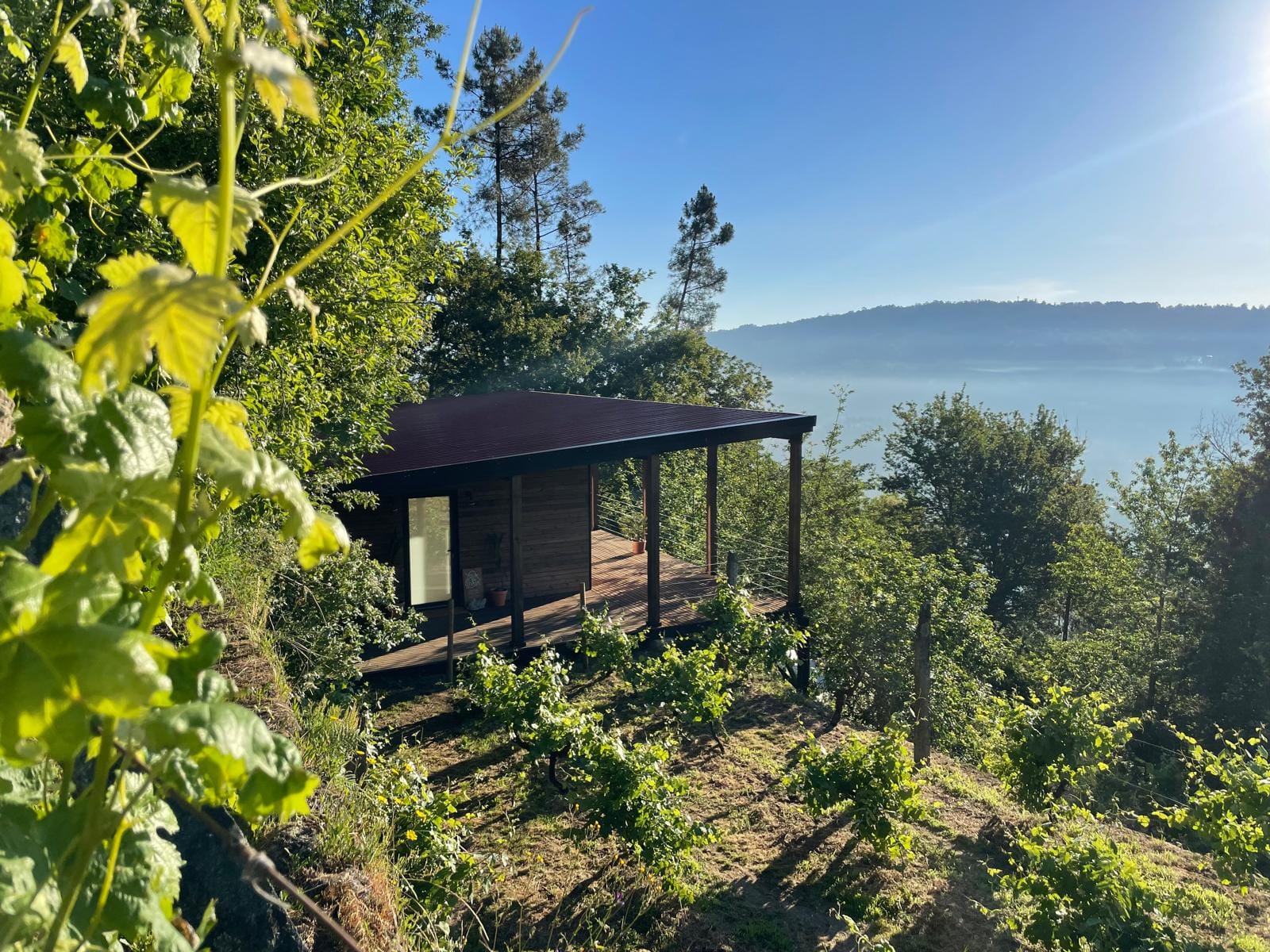 Yoga Holiday Portugal