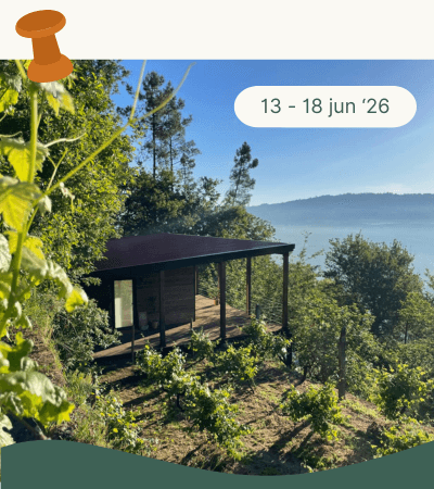 Yoga Holiday Portugal