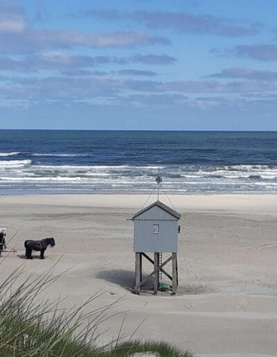 Yoga & Wandelretreat Terschelling Yoga & Wandelretreat Terschelling