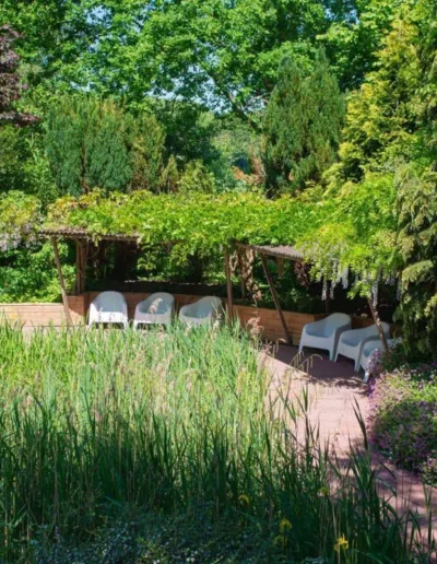 Land of Now Land of Now