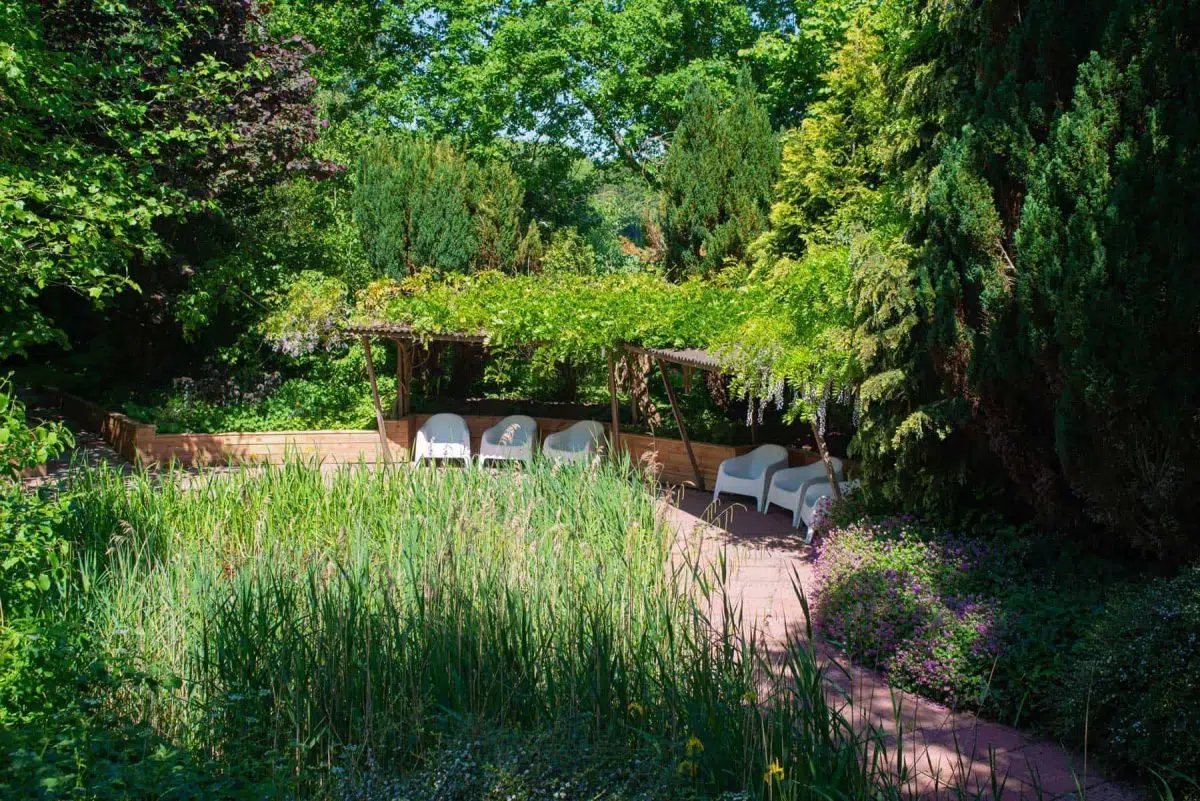 Land of Now Land of Now