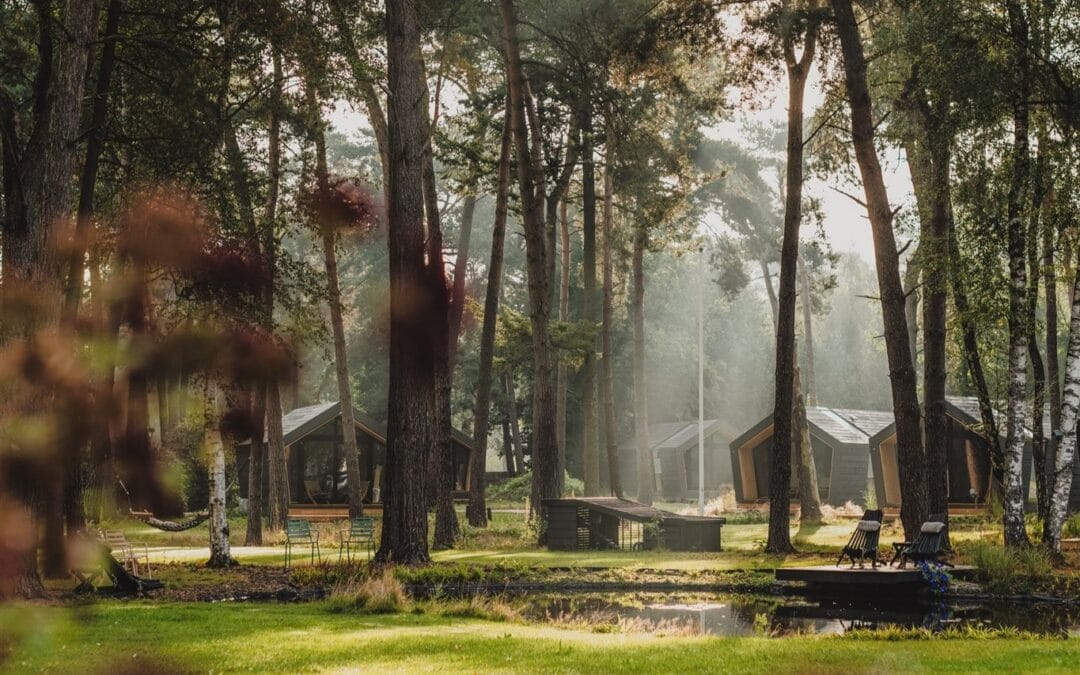 Last minute yoga retreats in nederland