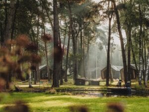 Relax & Recharge Retreat Brabant