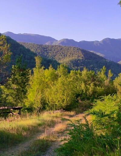 Yoga & Lifestyle Retreat Spaanse Pyreneeen Yoga & Lifestyle Retreat Spaanse Pyreneeen